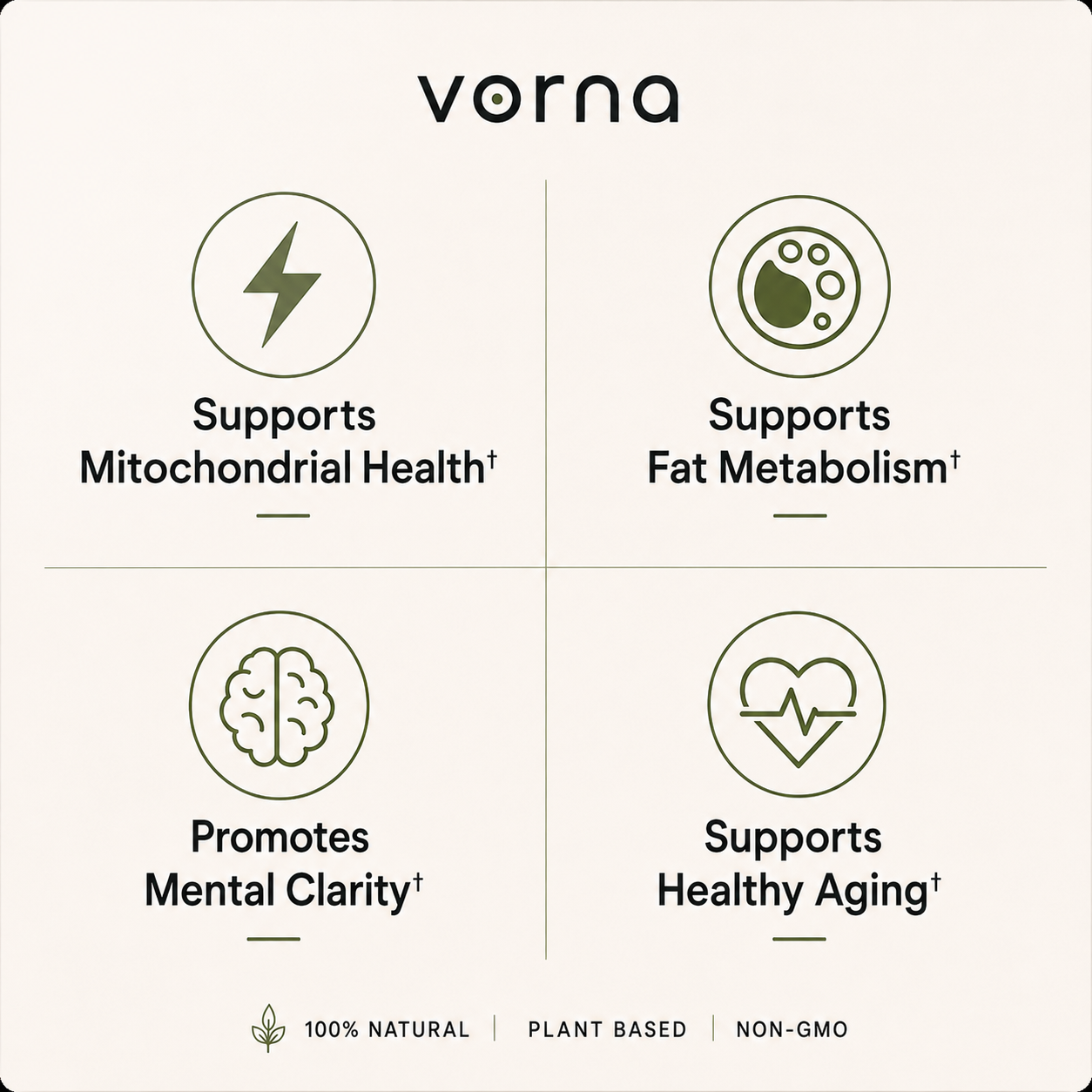 Vorna Amla High-Potency Capsules
