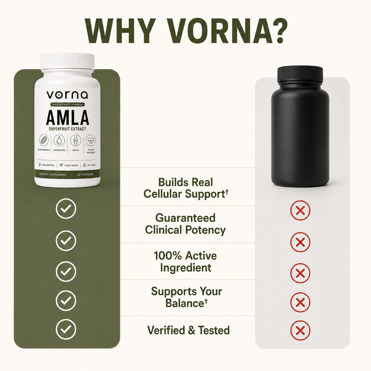 Vorna Amla Pure Extract Capsules