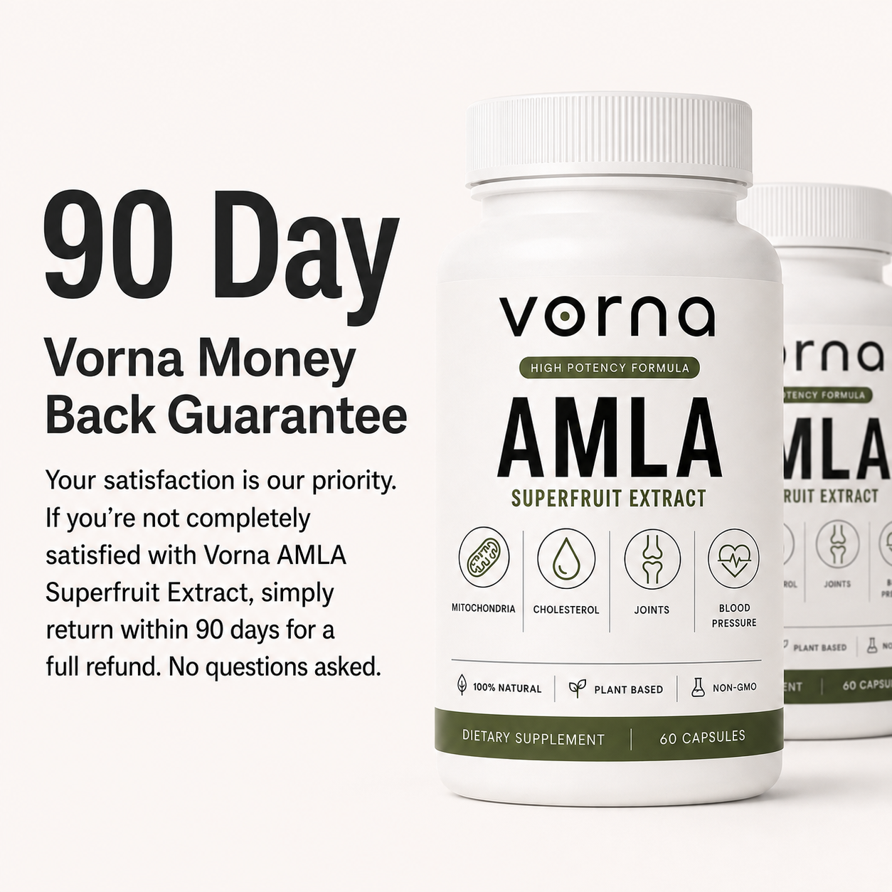 Vorna Amla High-Potency Capsules