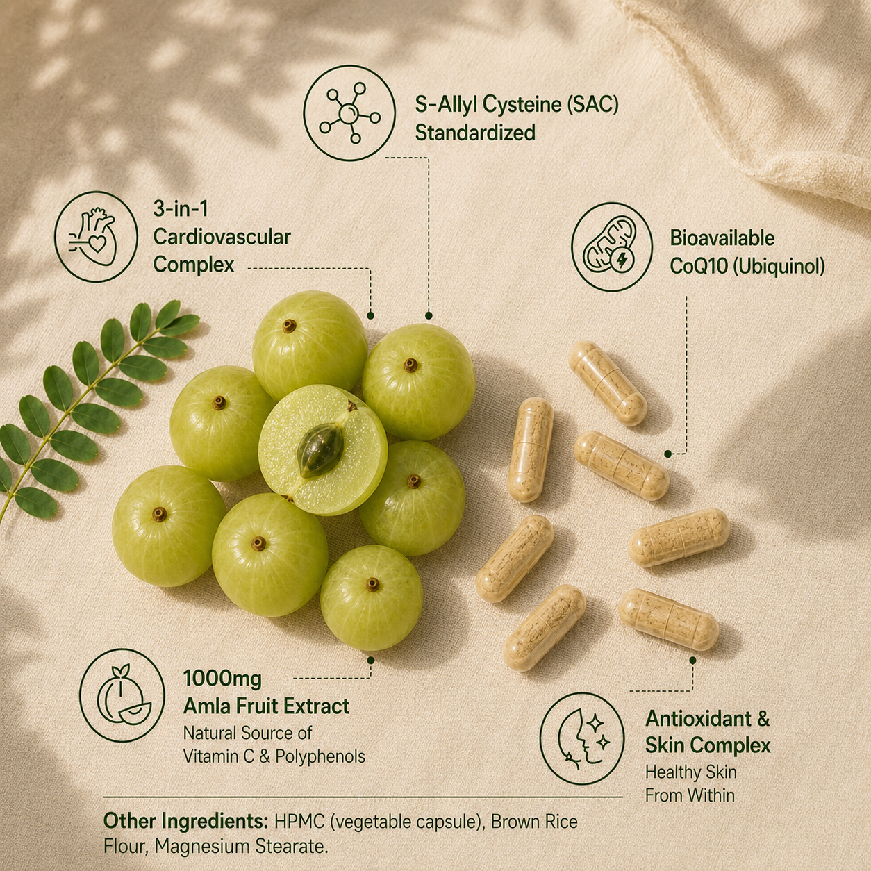 Vorna Amla Superfruit Extract Capsules